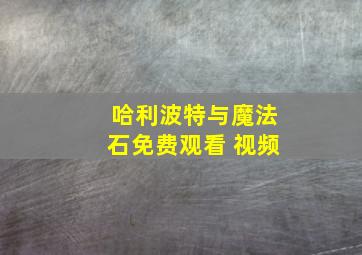 哈利波特与魔法石免费观看 视频